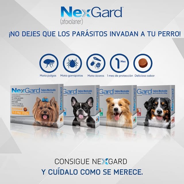 NEXGARD